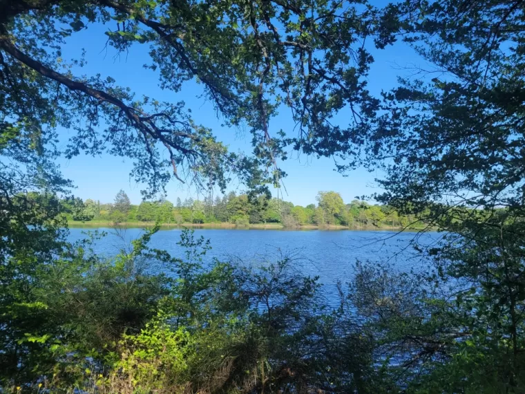 Camping avec étang pour la pêche au cœur de la forêt de Tronçais Allier à Saint-Bonnet-Tronçais, Saint-Bonnet-Tronçais, Les Campings de Tronçais